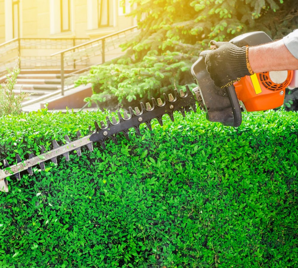 Bush Trim Stock